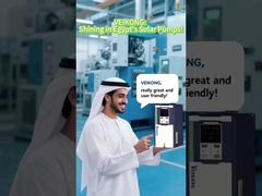 Automatisch laufende MPPT VFD-Solarpumpen-Inverter in Ägypten beliebt!