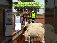 3phase 99,999% MPPT VFD Solarpumpen-Inverter Gute Nachrichten von Kunden in Kenia
