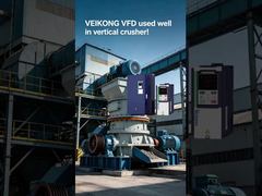 VEIKONG VFD im Vertikalbrecher
